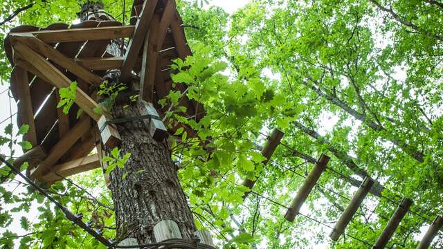 Accrobranche "Agrip Aventure"