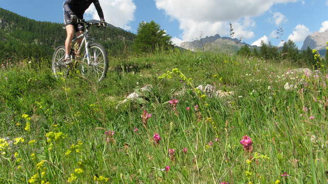 VTT & VTT à Assistance Électrique - La Tribu Rando de Seb