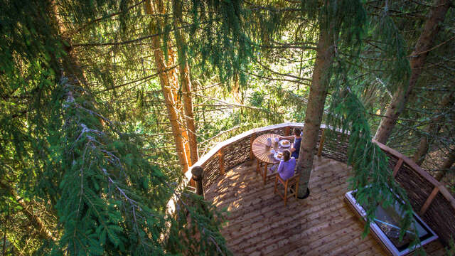 The nest hut