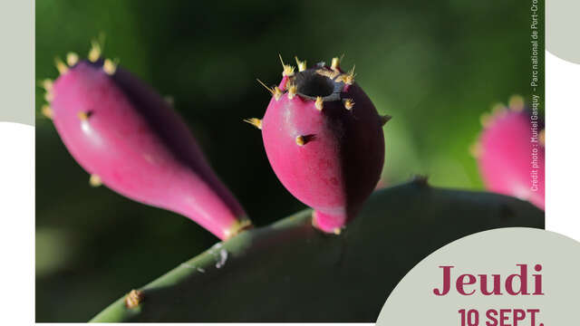 Conférence environnement : "Des espèces exotiques envahissantes "