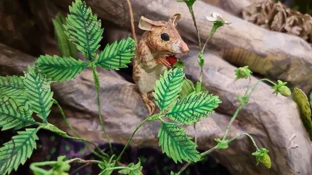 Exposition - Quand le papier s'anime : sculptures d'Anne-Lise Koehler