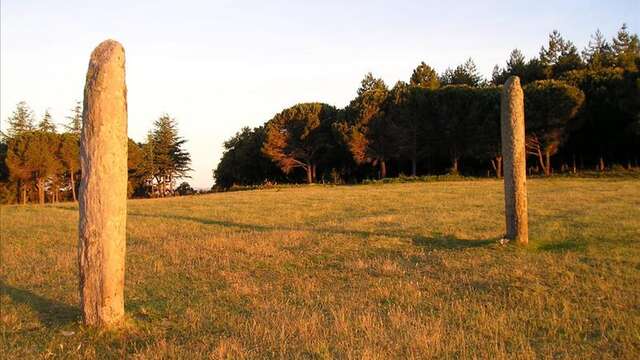 Menhirs du Plateau Lambert