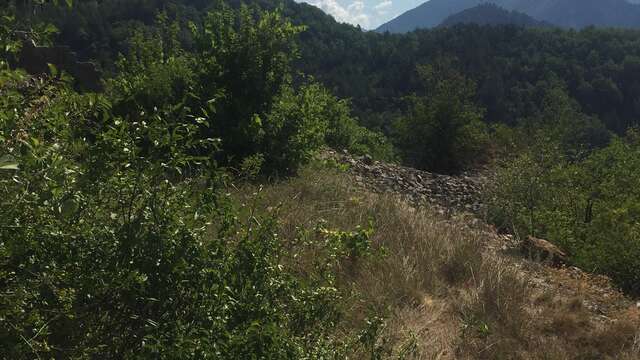 An example of medieval habitat