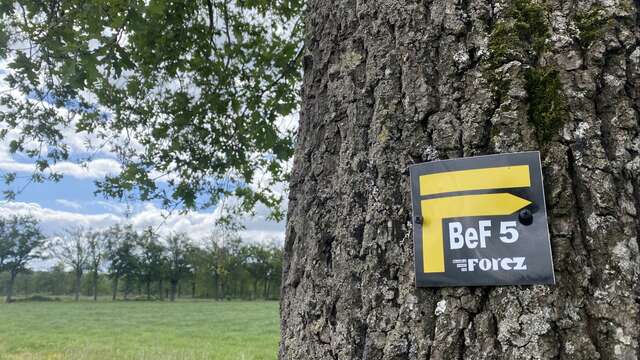 Sentier Les Caquignons