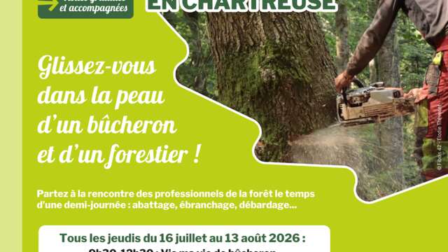 Vis ma vie de bucheron à Apremont