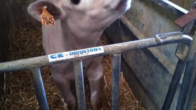 Visite de la ferme de La Place