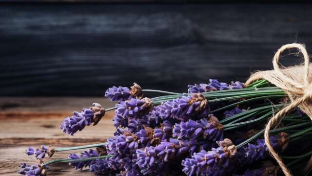 Atelier floral : d’or et de lavande, l’immortel bouquet suspendu