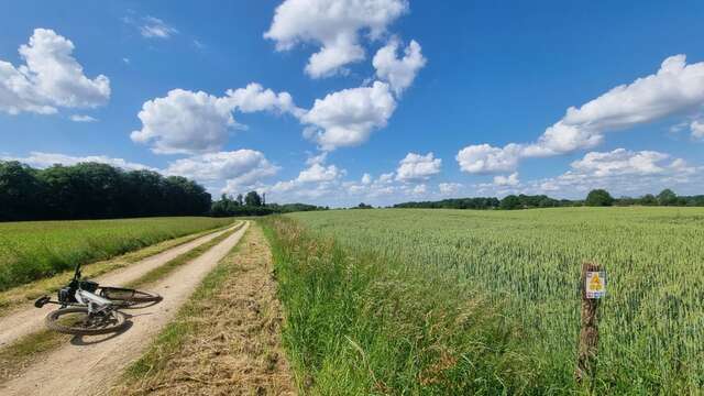 MTB-VTC circuit n°15 (red) - Grand tour de la Haute Bresse