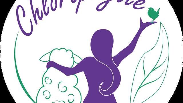 Sortie nature sur les oiseaux - journée mondiale des zones humides