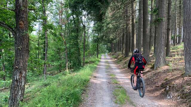 N°19 Au fil de la soie