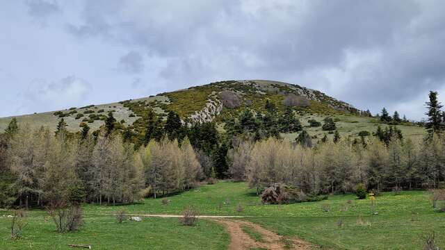 Tour des Baronnies à cheval
