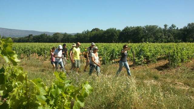 Une drôle histoire du vin au départ de l'Hostellerie des vins de Rognes