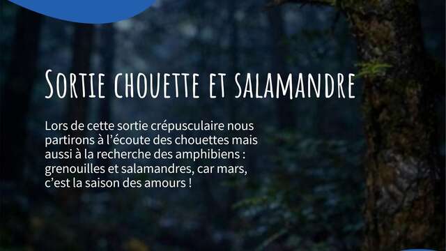 Sortie Chouette et Salamandre