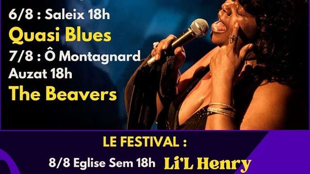 Festival Blues in Sem