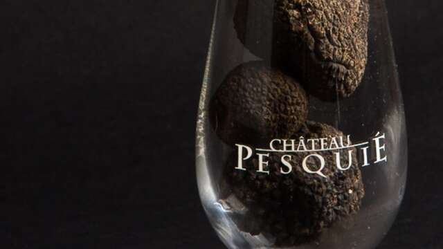 Repas truffe avec le Château Pesquié