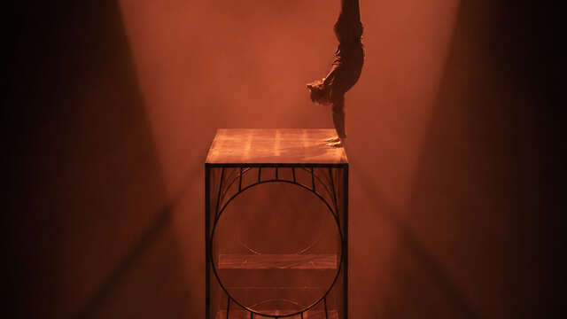 Circus: Facing the Walls