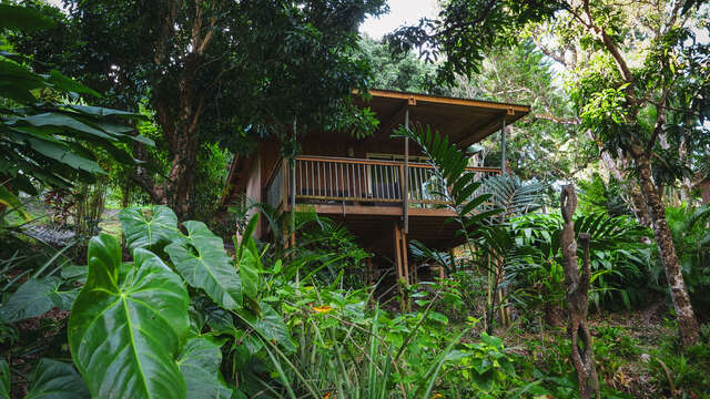 Gîte Ka Waboana Lodge