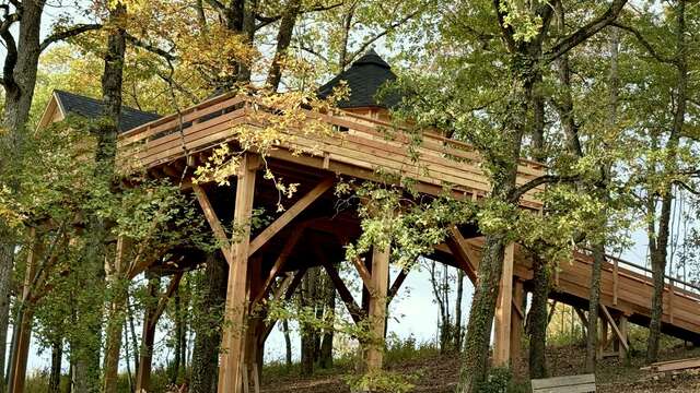 La cabane du grand chêne