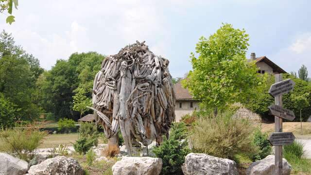 Visite libre du musée de Préhistoire et Géologie