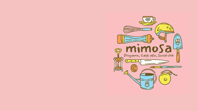 Mimosa  - droguerie d'aujourd'hui