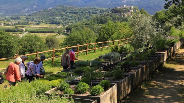 Botanischer Garten Domaine de la Citadelle