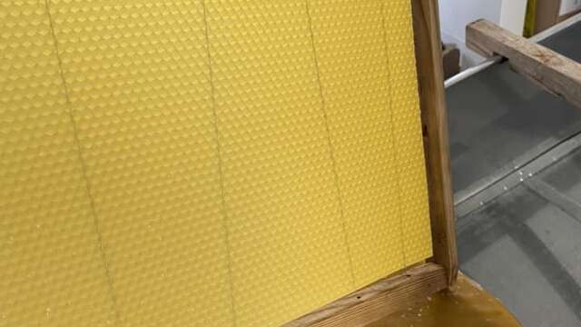 Le miel et les abeilles, un monde fascinant