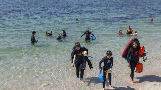 Balade en nage palmée sur les vestiges d’Olbia à l'Almanarre (Hyères)
