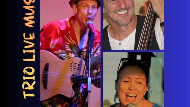 MOON Reprise de chansons françaises et internationales