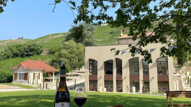 Terres de Syrah