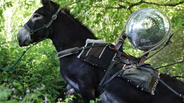 Rendez-vous au manoir de Vaubonnais -Créer par et pour un paysage- La Pierre