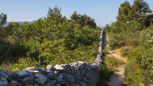 Le Mur de la Peste