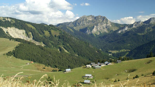 Hiking in the Vallon pastures