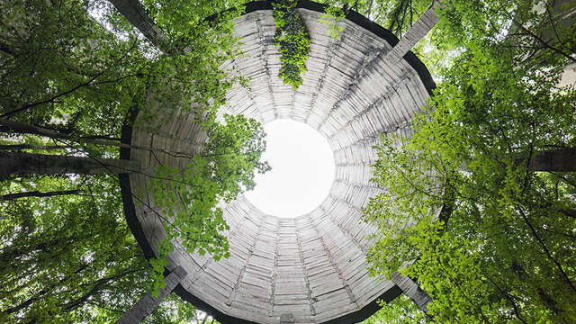 Exposition : Naturalia II