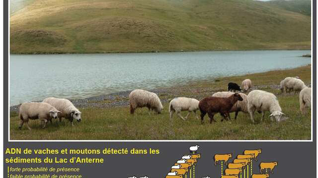 Conférence "Voyage au cœur des lacs et de la vase à la recherche des origines des paysans des Alpes" par Charline Giguet-Covex