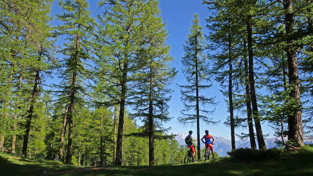 Parcours VAE & CROSS COUNTRY (XC) - DECOU'VERTE