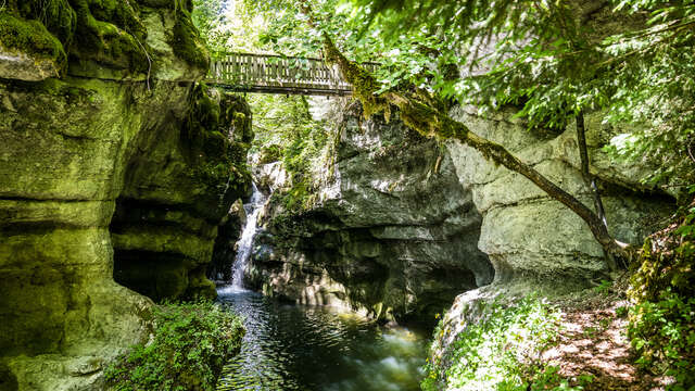 Le sentier du Cozon