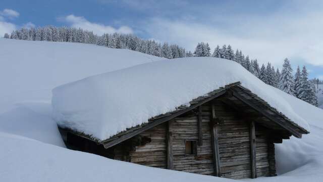 Schneeschuhwanderung »Verschneite Almen des Mont Bisanne«