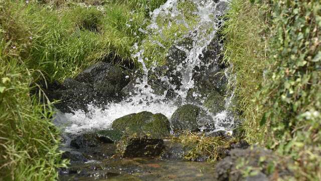 Cascades et passage à gré