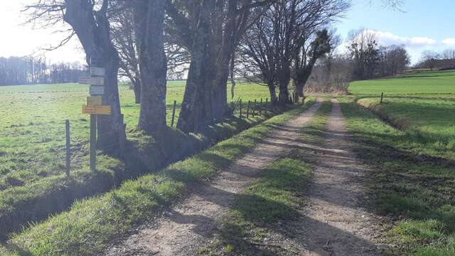 Etang des Baisses et ferme de Bévey (VTT)