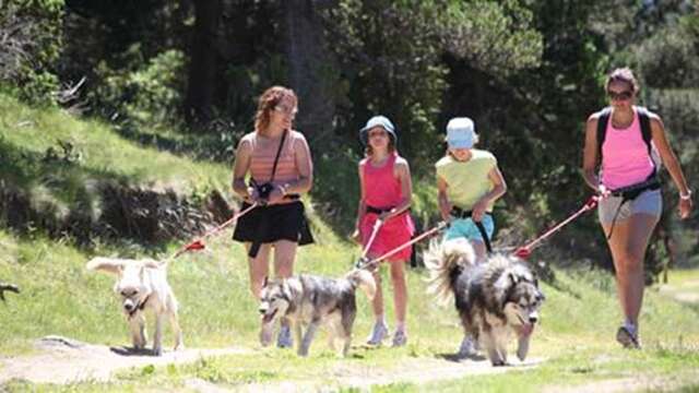 Cani-marche - Balade à 6 pattes avec Angaka