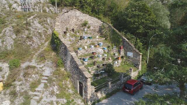 Maison des Abeilles "Ca D'arbine"