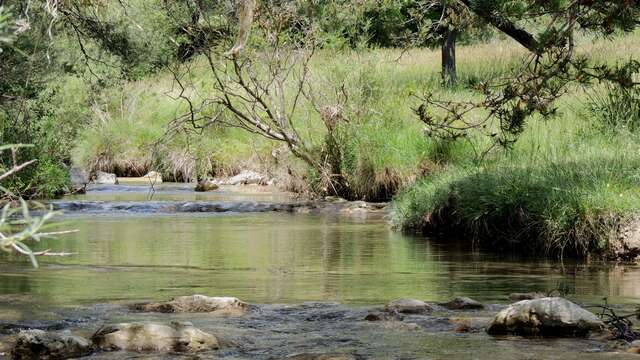 Randonnée Le sentier du Lauzon