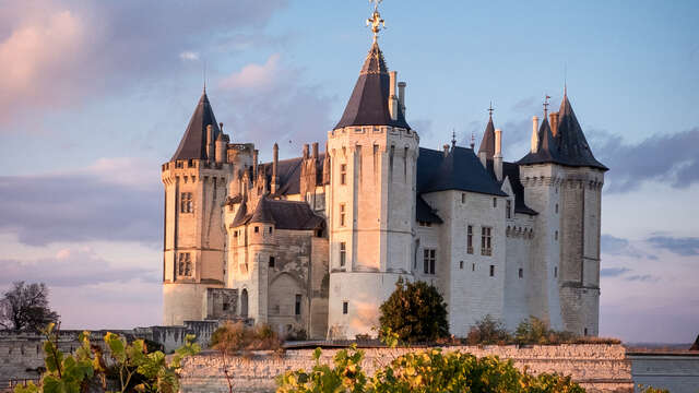 Château de Saumur
