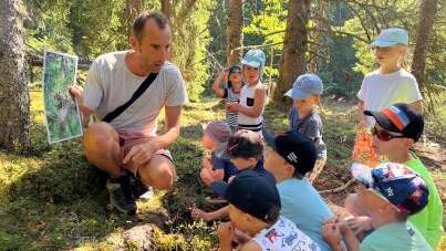 Repor'terre de la forêt