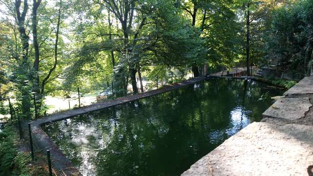 Les Sources et les Ruisseaux d'Anduze