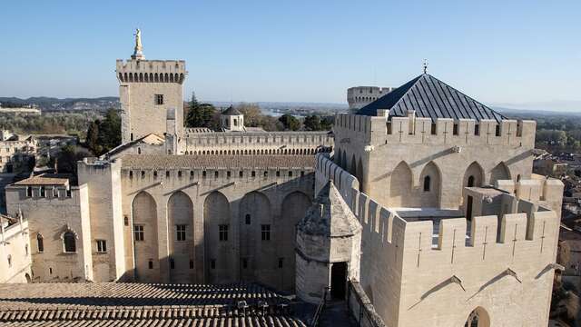 Descubrir el Palacio de los Papas - visita guiada en inglés