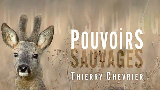 Rencontre avec Thierry Chevrier Photographe et biologiste