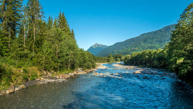 Pêche à la rivière du Giffre - Taninges