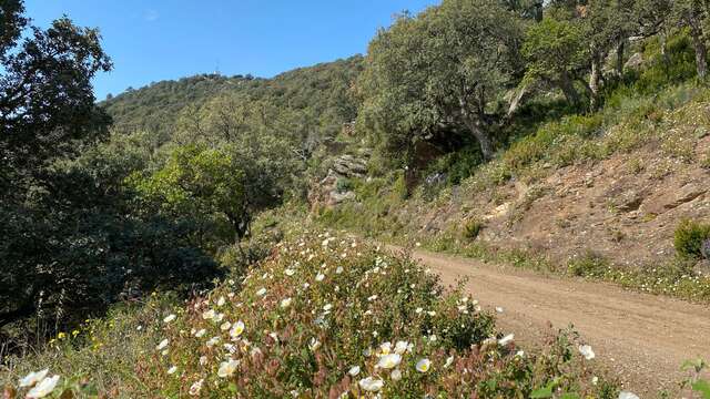 Les crêtes VTT