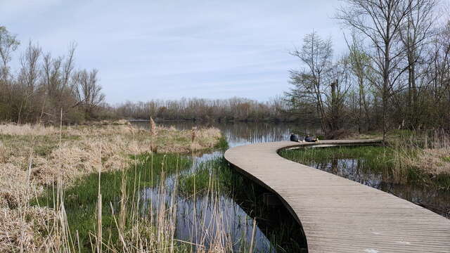 Aire de pique-nique Gravière aux oiseaux